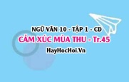 Soạn bài Cảm xúc mùa thu trang 45 lớp 10 Cánh Diều tập 1